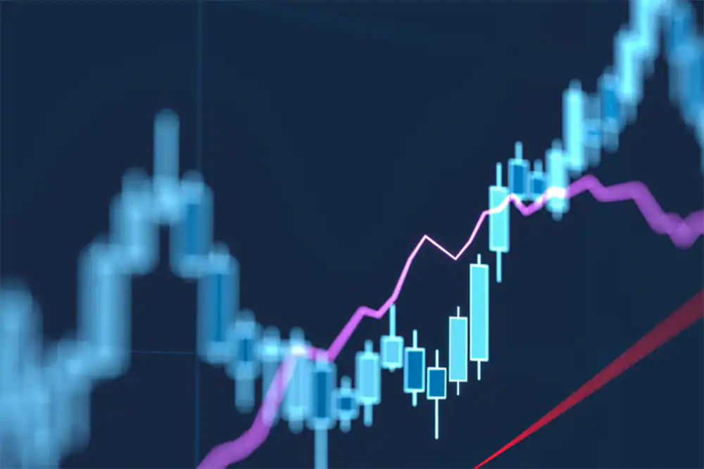ziimp .com markets