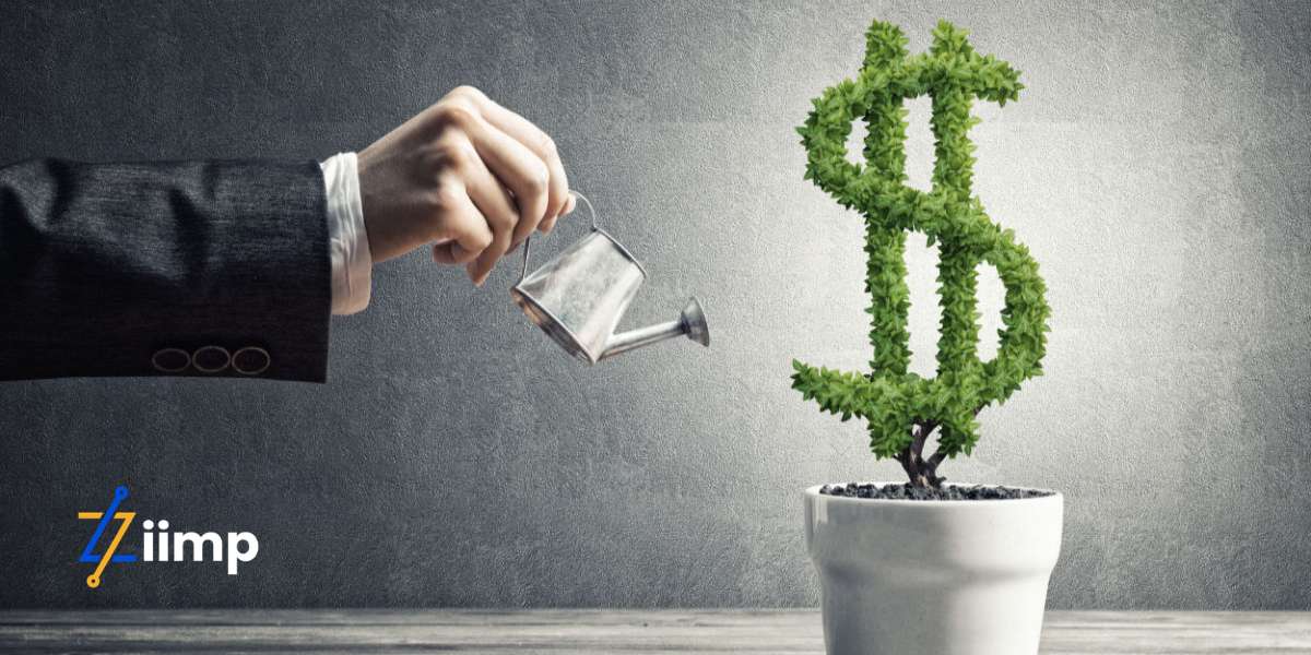 ziimp .com investing